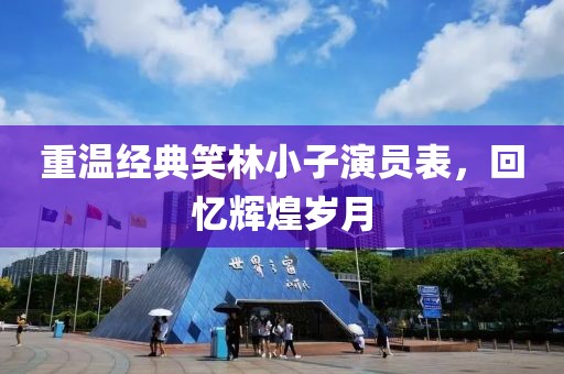 重温经典笑林小子演员表，回忆辉煌岁月