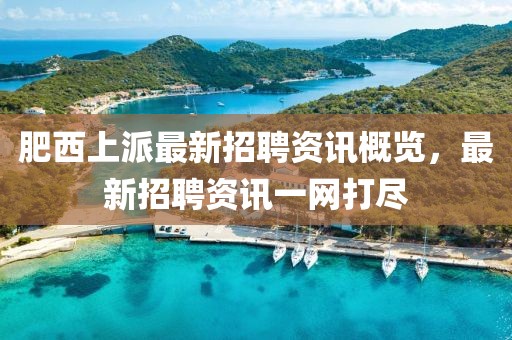 肥西上派最新招聘资讯概览，最新招聘资讯一网打尽