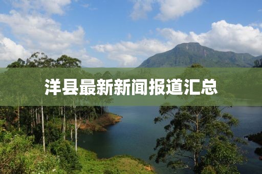 洋县最新新闻报道汇总