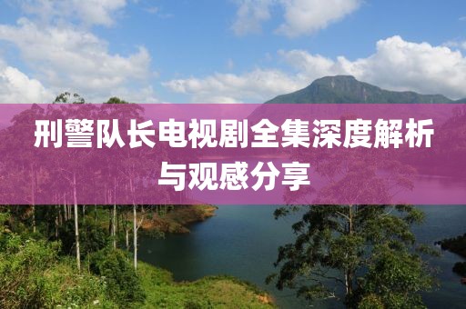 刑警队长电视剧全集深度解析与观感分享