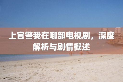 上官警我在哪部电视剧，深度解析与剧情概述
