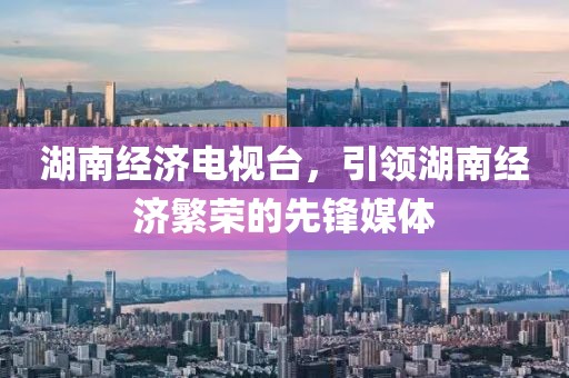 湖南经济电视台，引领湖南经济繁荣的先锋媒体