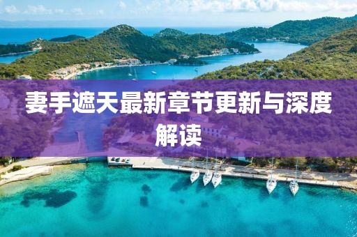 妻手遮天最新章节更新与深度解读