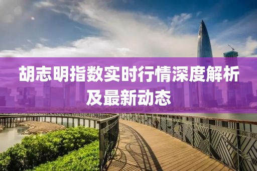 胡志明指数实时行情深度解析及最新动态