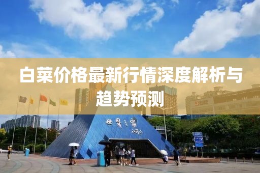 白菜价格最新行情深度解析与趋势预测