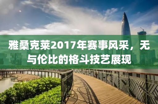 雅桑克莱2017年赛事风采，无与伦比的格斗技艺展现