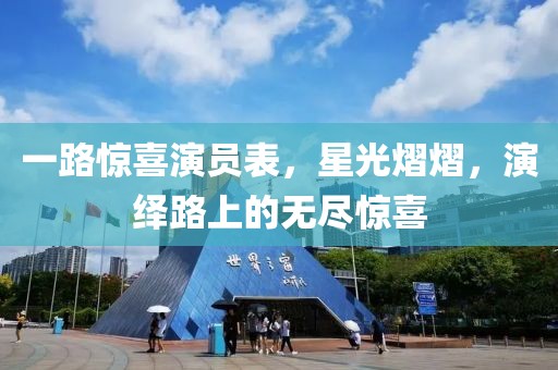 一路惊喜演员表，星光熠熠，演绎路上的无尽惊喜