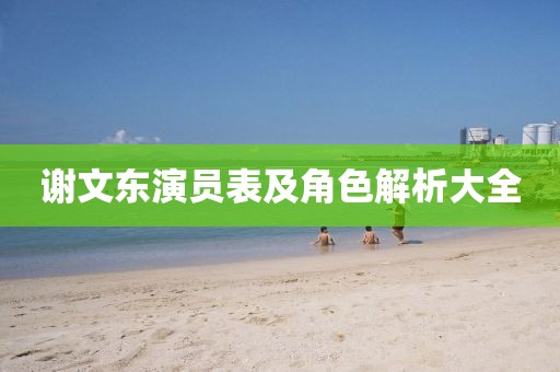 谢文东演员表及角色解析大全