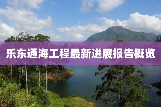乐东通海工程最新进展报告概览