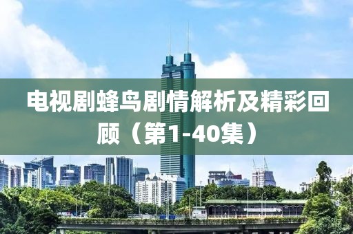 电视剧蜂鸟剧情解析及精彩回顾（第1-40集）