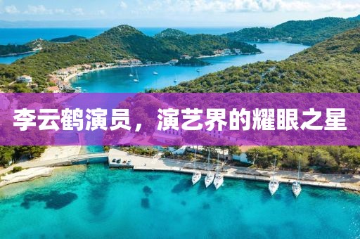 李云鹤演员，演艺界的耀眼之星