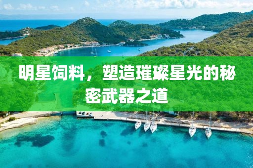 明星饲料，塑造璀璨星光的秘密武器之道