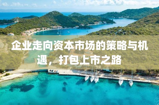 企业走向资本市场的策略与机遇，打包上市之路