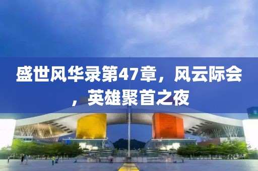 盛世风华录第47章，风云际会，英雄聚首之夜