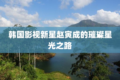 韩国影视新星赵寅成的璀璨星光之路