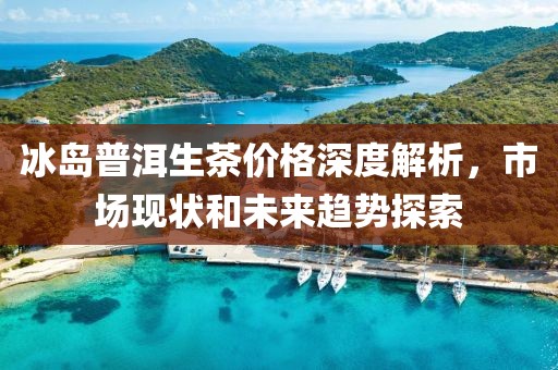 冰岛普洱生茶价格深度解析，市场现状和未来趋势探索
