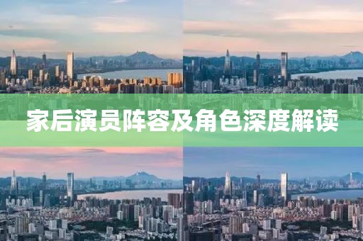 家后演员阵容及角色深度解读