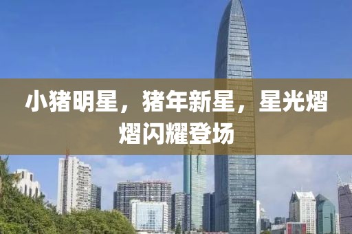 小猪明星，猪年新星，星光熠熠闪耀登场