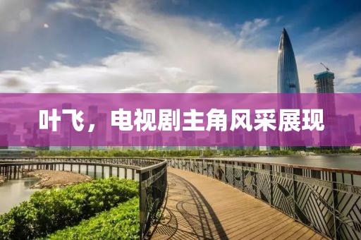 叶飞，电视剧主角风采展现