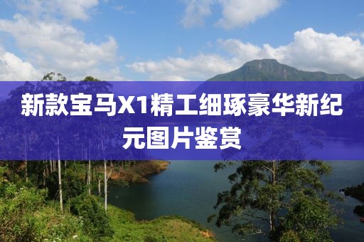 新款宝马X1精工细琢豪华新纪元图片鉴赏