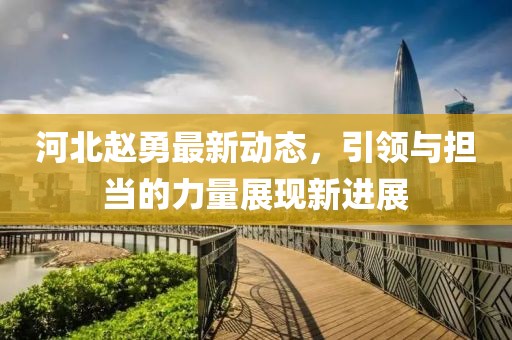 河北赵勇最新动态，引领与担当的力量展现新进展