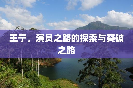 王宁，演员之路的探索与突破之路