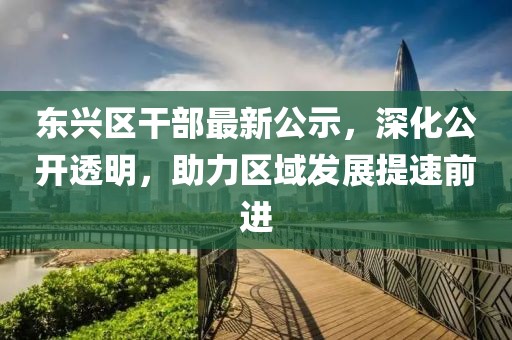 东兴区干部最新公示，深化公开透明，助力区域发展提速前进
