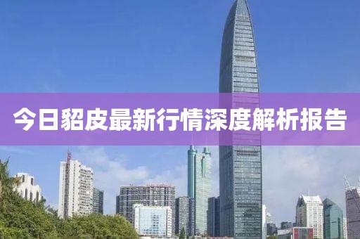 今日貂皮最新行情深度解析报告