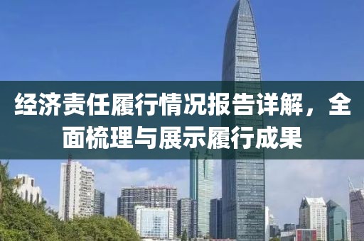 经济责任履行情况报告详解，全面梳理与展示履行成果