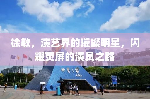 徐敏，演艺界的璀璨明星，闪耀荧屏的演员之路