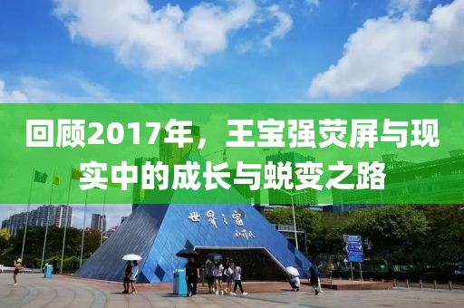 回顾2017年，王宝强荧屏与现实中的成长与蜕变之路