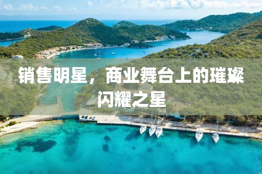 销售明星，商业舞台上的璀璨闪耀之星