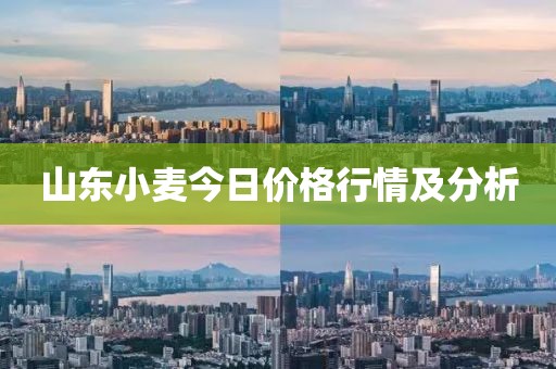 山东小麦今日价格行情及分析