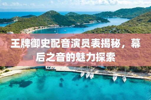王牌御史配音演员表揭秘，幕后之音的魅力探索