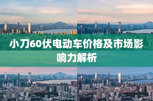 小刀60伏电动车价格及市场影响力解析