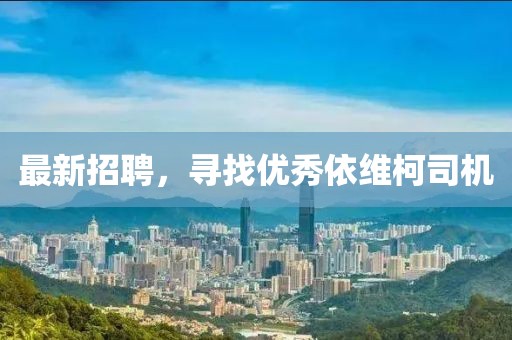 最新招聘，寻找优秀依维柯司机