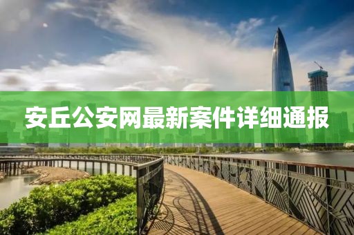 安丘公安网最新案件详细通报