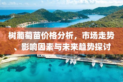 树葡萄苗价格分析，市场走势、影响因素与未来趋势探讨