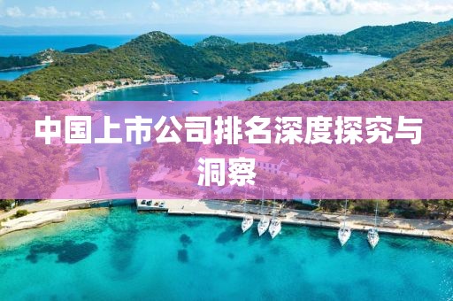 中国上市公司排名深度探究与洞察