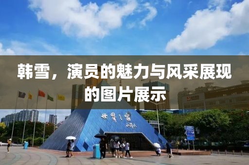 韩雪，演员的魅力与风采展现的图片展示