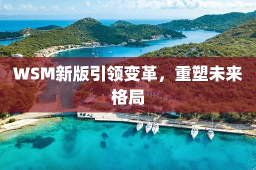 WSM新版引领变革，重塑未来格局