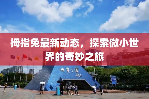 拇指兔最新动态，探索微小世界的奇妙之旅