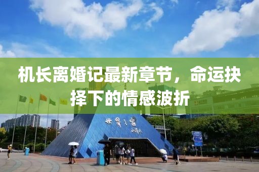 机长离婚记最新章节，命运抉择下的情感波折
