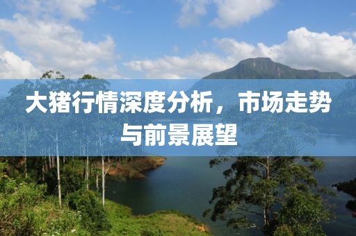 大猪行情深度分析，市场走势与前景展望