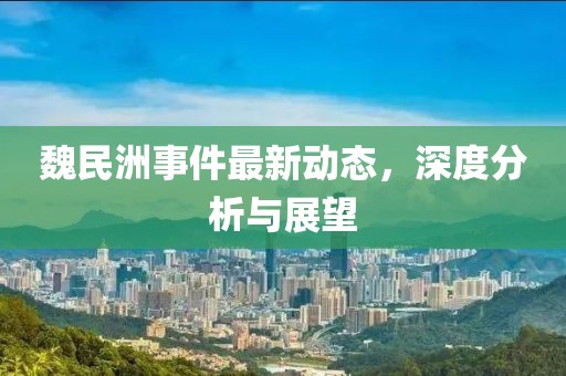 魏民洲事件最新动态，深度分析与展望