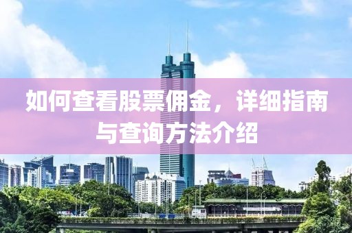 如何查看股票佣金，详细指南与查询方法介绍