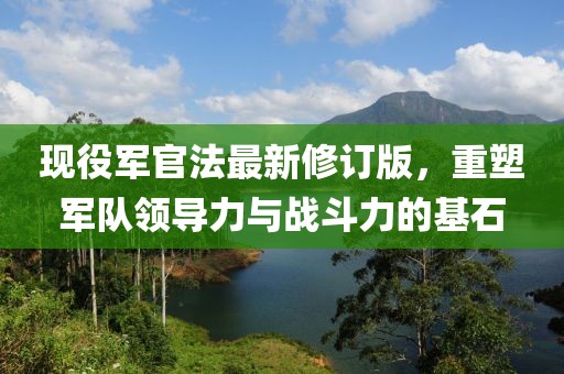 现役军官法最新修订版，重塑军队领导力与战斗力的基石