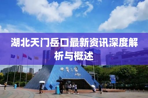 湖北天门岳口最新资讯深度解析与概述