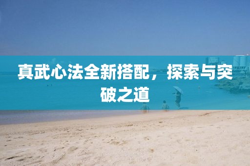 真武心法全新搭配，探索与突破之道