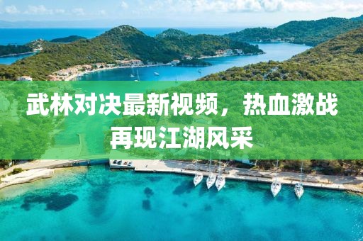 武林对决最新视频，热血激战再现江湖风采